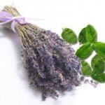 Lavender Mint Lip Balm, All-natural, Paraben